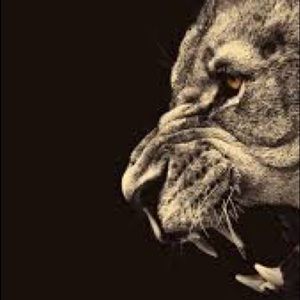 Meet your Posher, Jonas